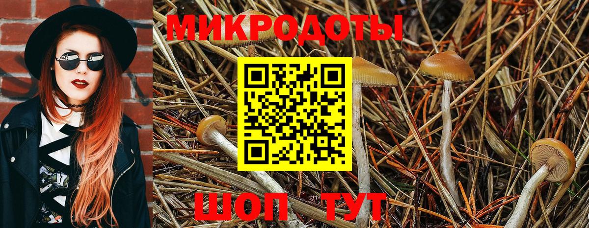 Галлюциногенные грибы ЛСД  Галлюциногенные грибы Psilocybine cubensis  Екатеринбург  Вход с VPN 